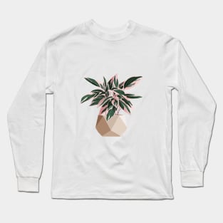 Calathea Stromanthe Triostar Long Sleeve T-Shirt